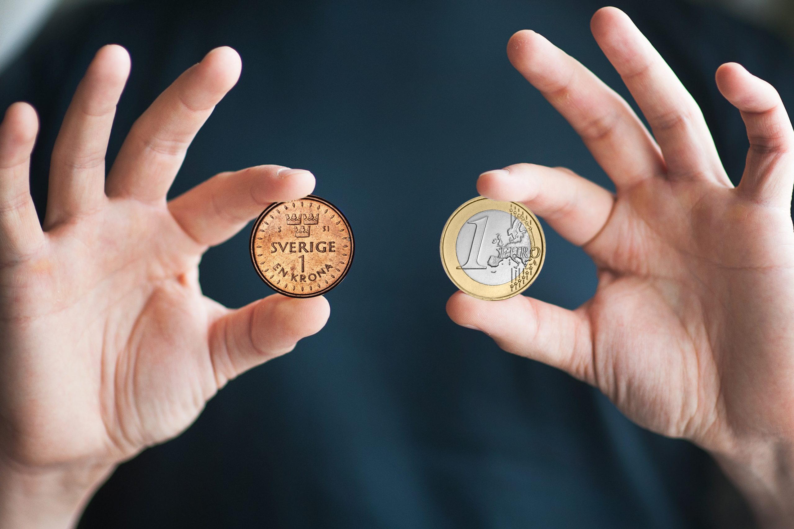80 Sek In Euro
